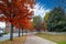 A stunning shot of lush green and gorgeous red autumn colored trees with fallen red autumn leaves on the sidewalk with blue sky