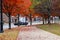 A stunning shot of lush green and gorgeous red autumn colored trees with fallen red autumn leaves on the sidewalk with blue sky