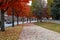 A stunning shot of lush green and gorgeous red autumn colored trees with fallen red autumn leaves on the sidewalk with blue sky