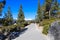 A stunning shot of people walking long winding smooth paved concreate hiking path with lush green trees and plants along the path