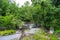 A stunning shot of the rushing river water of Big Creek river with lush green trees and large rocks on the banks