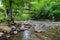 A stunning shot of the rushing river water of Big Creek river with lush green trees and large rocks on the banks