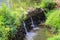 A stunning shot of a small waterfall in the forest surrounded by tall lush green trees and plants