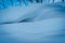 Stunning shot of a snow-covered hillside in a wintery forest