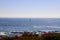 A stunning shot of a vast blue ocean water with a sail boat on the water with lush green plants and red flowers on the shore with