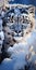 Stunning Snow Leopard Wallpaper In Matthias Haker Style