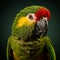 Stunning Studio Shot Of A Parrot With Green Face And Red Beak