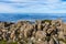 Stunning summit of Mount Wellington overlooking Hobart