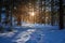 Stunning sunbeam in snowy forest in winter