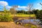 A stunning sunny day in the park with lush green and autumn colored trees, vast green grass and a running river with blue sky