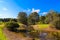 A stunning sunny day in the park with lush green and autumn colored trees, vast green grass and a running river with blue sky