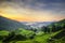 Stunning sunrise over the Tea Plantation at Cameron Highlands, Malaysia