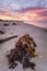 Stunning Sunrise At Queenscliff Pier