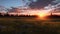 Stunning Sunset Field Artwork In Unreal Engine 5 - Inspired By E. Munch