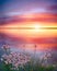 Stunning sunset on the lake with white wildflowers. Beautiful sunset over the river. Sunrise at lake. Inspirational calm sea with