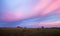 Stunning Sunset over Florida Sawgrass Prairie