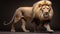 Stunning Uhd Image Of Majestic Lion Walking In Dark Background