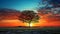 Stunning Uhd Sunset Tree In Fields: Red And Azure Detailed Backgrounds