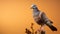 Stunning Ultraviolet Photography: Grey Pigeon On Orange Background