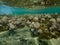 Stunning undersea view on a windy summer day with medium waves, Aegean Sea