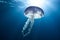 A stunning underwater scene featuring a jellyfish gracefully floating over the ocean floor
