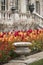 Stunning vibrant shallow depth of field landscape image of flowerbed full of tulips in Spring