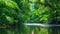 A stunning Video capturing the powerful flow of a river as it winds its way through a lush and vibrant green forest, An enchanting