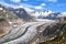 Stunning view of Aletsch glacier in the Bernese Alps in Switzerland, seen from a mountain near the village of Bettmeralp. Aletsch