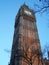 Stunning view of Big Ben, London, from frog perspective