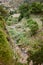 Stunning view of canyon edge overgrown with sugarcane, mango trees, lotus and banana plants on Santa Antao Island. Cape