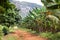 Stunning view of Cuban landscape in Vinales Valley National Park