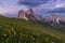 Stunning view of Dolomite mountain and wildflower field in summer at Seceda peak, Italy