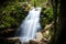 Stunning view of a flood foamy waterfall running down from a grassy cliff in the forest