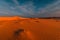 Stunning view of lonely sand dunes