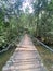 Stunning view of an olf wooden bridge spanning a majestic river