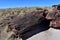 Stunning View of Petrified Logs in Arizona