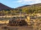 Stunning view of a religious stone shrine