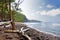 Stunning view of rocky beach of Pololu Valley on Big Island of Hawaii