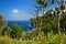 Stunning view of rocky beach of Pololu Valley, Big Island, Hawaii