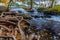 Stunning View of a Tranquil Flowing Stream with Pr