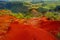 Stunning view into Waimea Canyon, Kauai