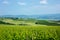 Stunning view of wineyards and farmlands with small villages on the horizon. Tuscany, Italy