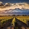 Stunning vineyard landscape in Mendoza, Argentina