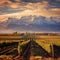 Stunning vineyard landscape in Mendoza, Argentina