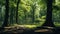 Stunning Vray Forest Image With Green Elm Trees