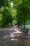 A stunning walkway inside the park  Hampstead heath  UK