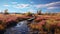 Stunning Wetland Hiking Trail: Yellow, Blue, Pink, Black, Strong Shadows