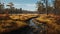 Stunning Wetland Hiking Trail: Yellow, Blue, Pink, Black, Strong Shadows