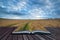 Stunning wheat field landscape under Summer stormy sunset sky co