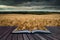 Stunning wheat field landscape under Summer stormy sunset sky co